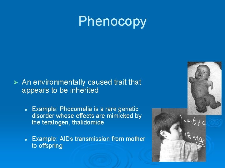 Phenocopy Ø An environmentally caused trait that appears to be inherited l l Example: