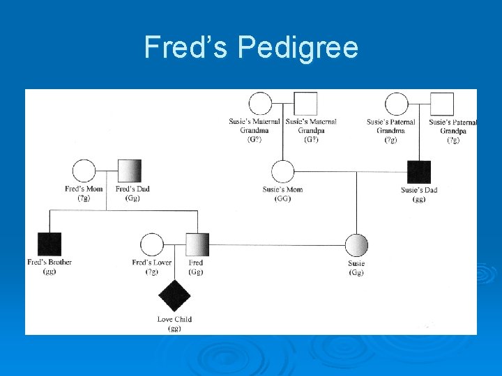 Fred’s Pedigree 