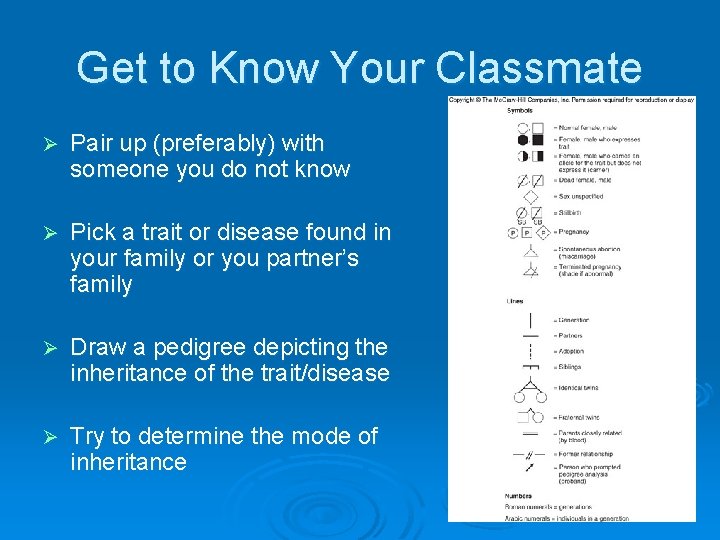 Get to Know Your Classmate Ø Pair up (preferably) with someone you do not