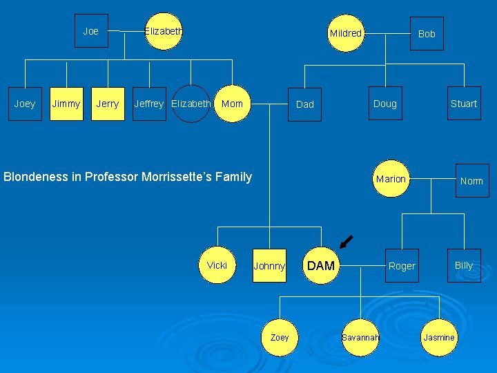 Joe Joey Jimmy Jerry Elizabeth Mildred Jeffrey Elizabeth Mom Dad Blondeness in Professor Morrissette’s