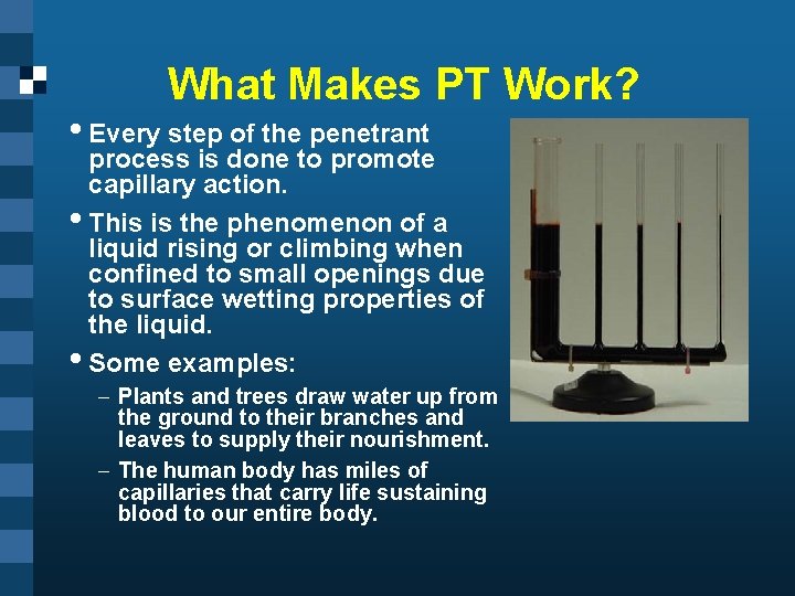 What Makes PT Work? • Every step of the penetrant process is done to