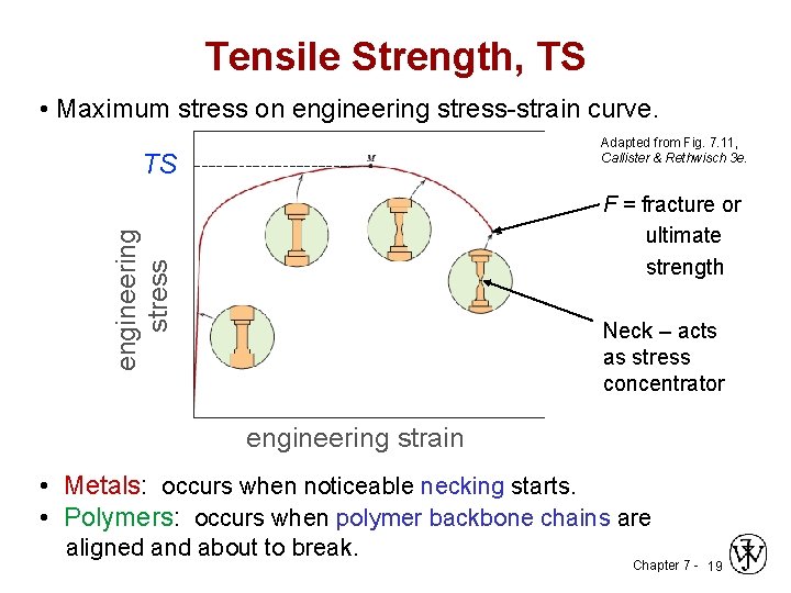 Tensile Strength, TS • Maximum stress on engineering stress-strain curve. Adapted from Fig. 7.