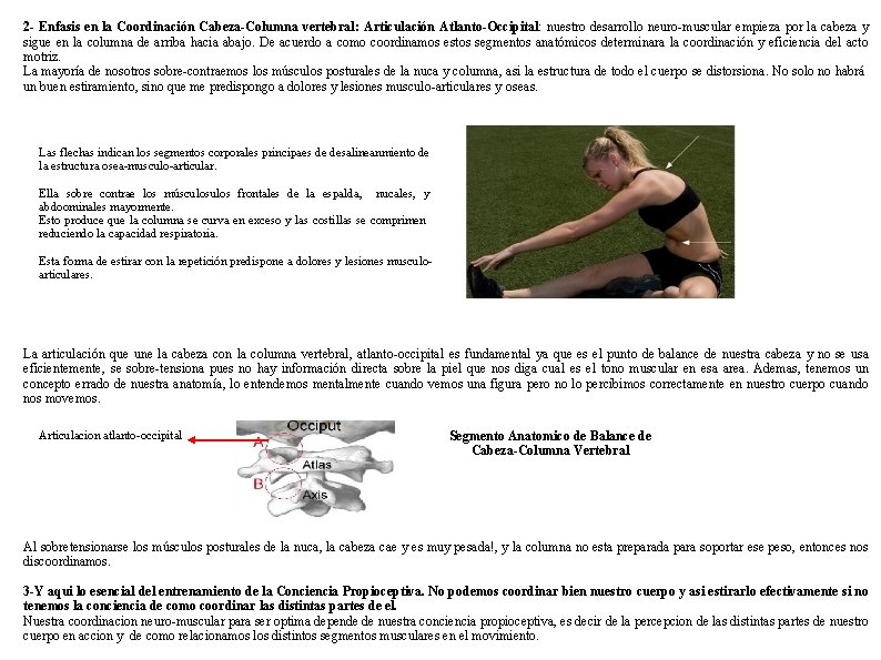 2 - Enfasis en la Coordinación Cabeza-Columna vertebral: Articulación Atlanto-Occipital: nuestro desarrollo neuro-muscular empieza