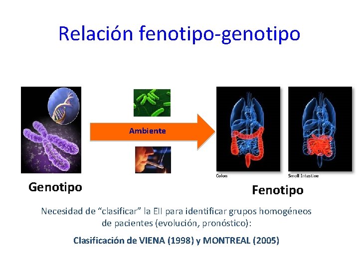 Relación fenotipo-genotipo Ambiente Genotipo Fenotipo Necesidad de “clasificar” la EII para identificar grupos homogéneos