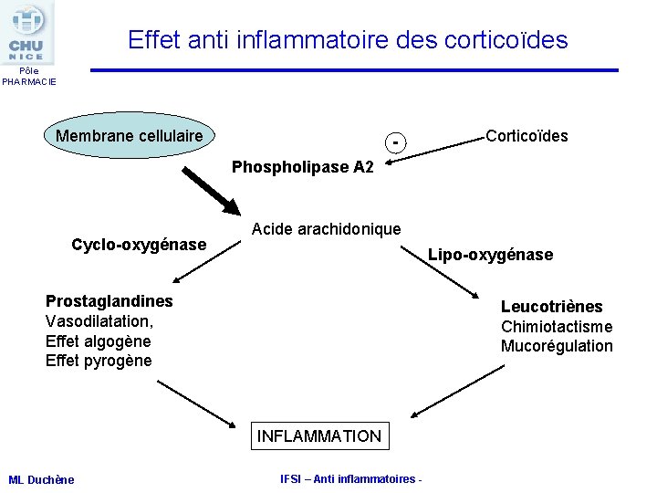 Effet anti inflammatoire des corticoïdes Pôle PHARMACIE Membrane cellulaire - Corticoïdes Phospholipase A 2 Effet anti inflammatoire des corticoïdes Pôle PHARMACIE Membrane cellulaire - Corticoïdes Phospholipase A 2