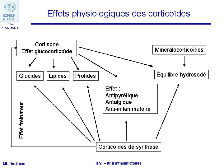 Effets physiologiques des corticoïdes Pôle PHARMACIE Cortisone Effet glucocorticoïde Effet freinateur Glucides Lipides Minéralocorticoïdes Effets physiologiques des corticoïdes Pôle PHARMACIE Cortisone Effet glucocorticoïde Effet freinateur Glucides Lipides Minéralocorticoïdes