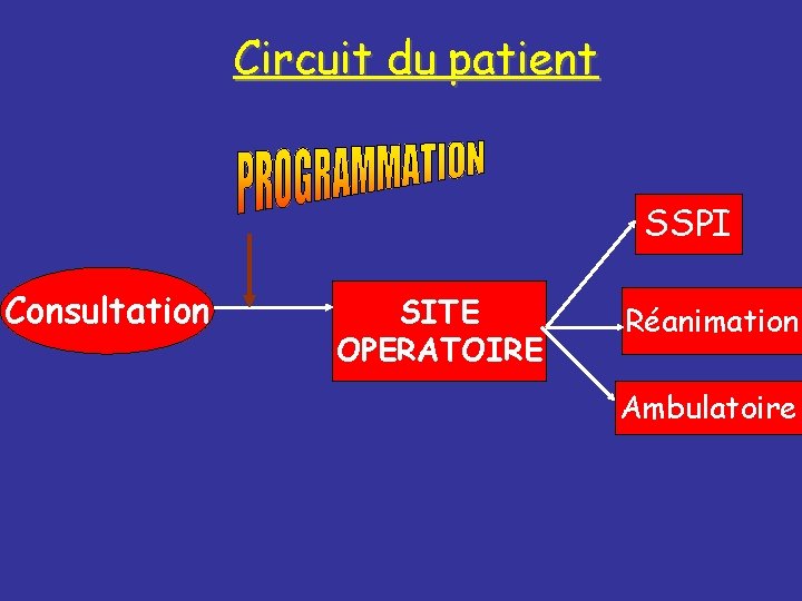 Circuit du patient SSPI Consultation SITE OPERATOIRE Réanimation Ambulatoire 