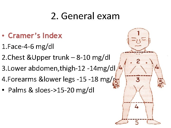 2. General exam • Cramer’s Index 1. Face-4 -6 mg/dl 2. Chest &Upper trunk