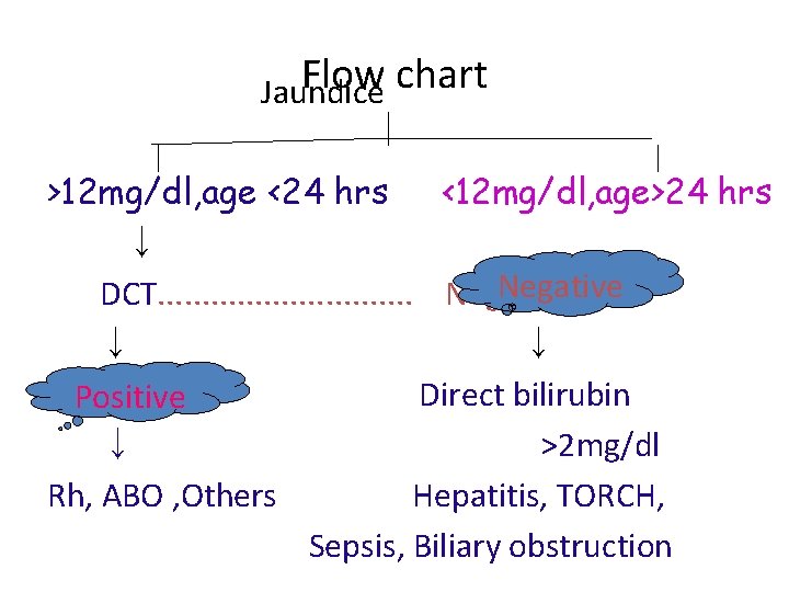 Flow chart Jaundice >12 mg/dl, age <24 hrs <12 mg/dl, age>24 hrs ↓ Negative
