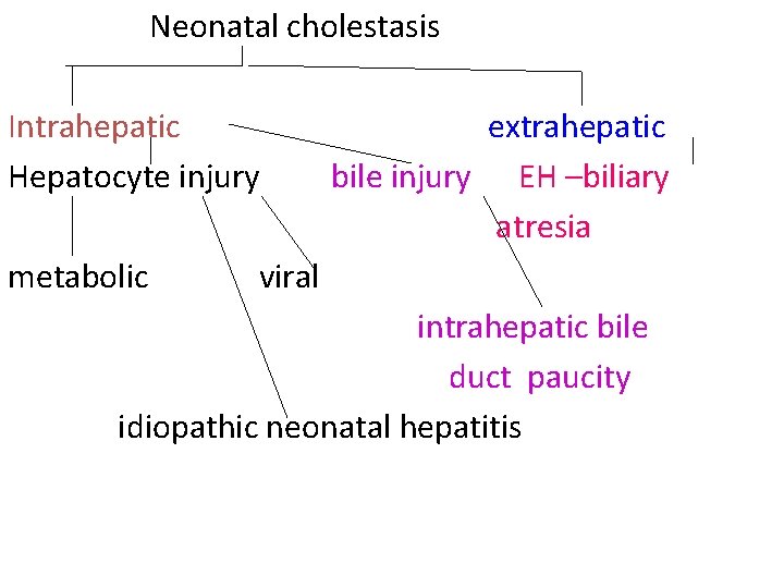 Neonatal cholestasis Intrahepatic Hepatocyte injury metabolic extrahepatic bile injury EH –biliary atresia viral intrahepatic