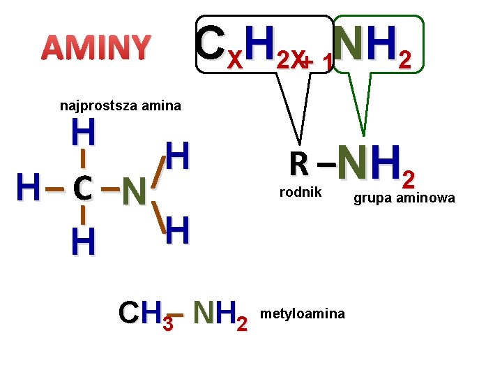 AMINY CXH 2 X+ 1 NH 2 najprostsza amina H I H / H AMINY CXH 2 X+ 1 NH 2 najprostsza amina H I H / H