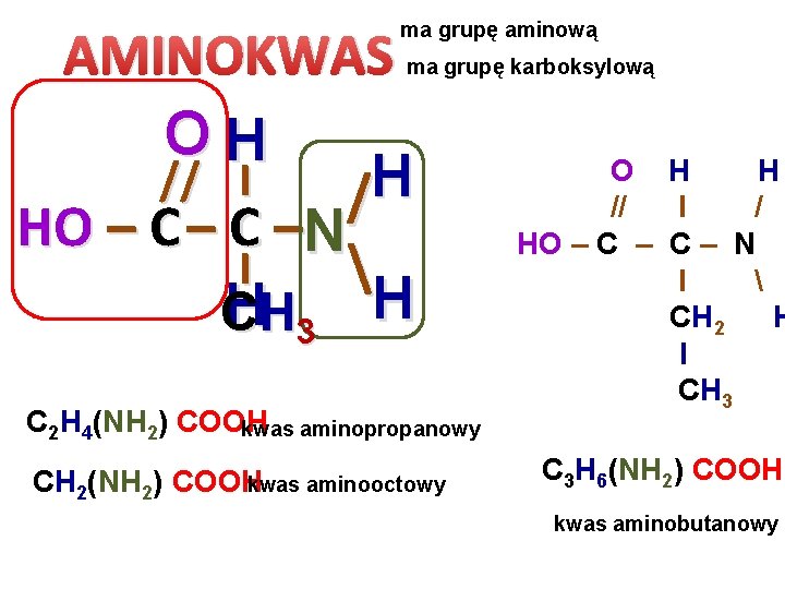 ma grupę aminową AMINOKWAS OH // I H / HO – C –N I ma grupę aminową AMINOKWAS OH // I H / HO – C –N I