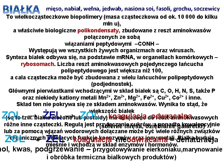 mięso, nabiał, wełna, jedwab, nasiona soi, fasoli, grochu, soczewicy To wielkocząsteczkowe biopolimery (masa cząsteczkowa mięso, nabiał, wełna, jedwab, nasiona soi, fasoli, grochu, soczewicy To wielkocząsteczkowe biopolimery (masa cząsteczkowa