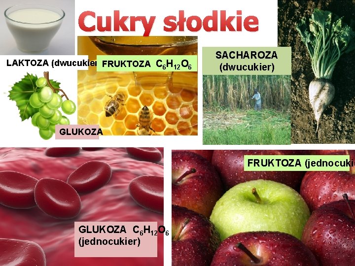 Cukry słodkie LAKTOZA (dwucukier) FRUKTOZA C 6 H 12 O 6 SACHAROZA (dwucukier) GLUKOZA Cukry słodkie LAKTOZA (dwucukier) FRUKTOZA C 6 H 12 O 6 SACHAROZA (dwucukier) GLUKOZA