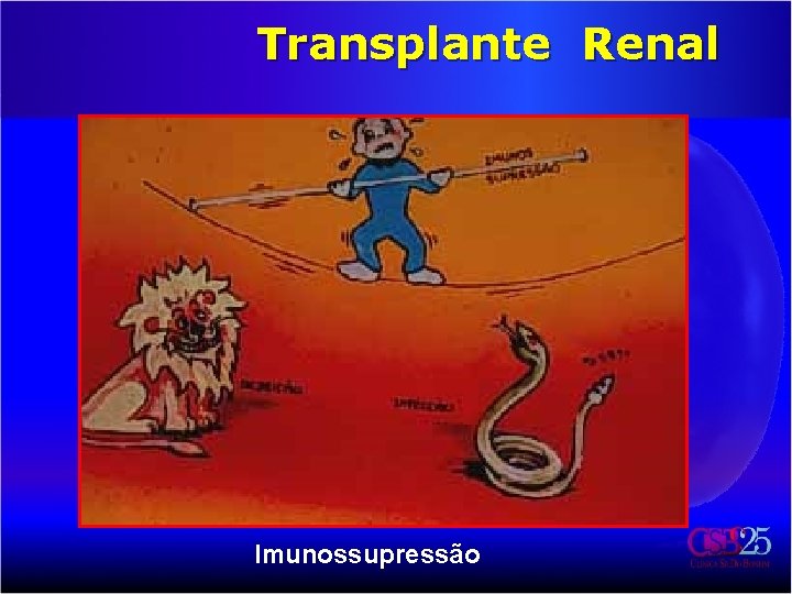 Transplante Renal Imunossupressão 