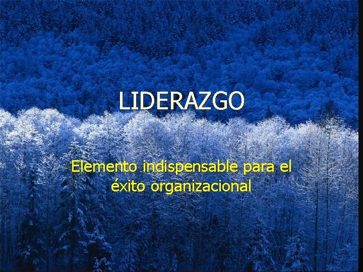 LIDERAZGO Elemento indispensable para el éxito organizacional 