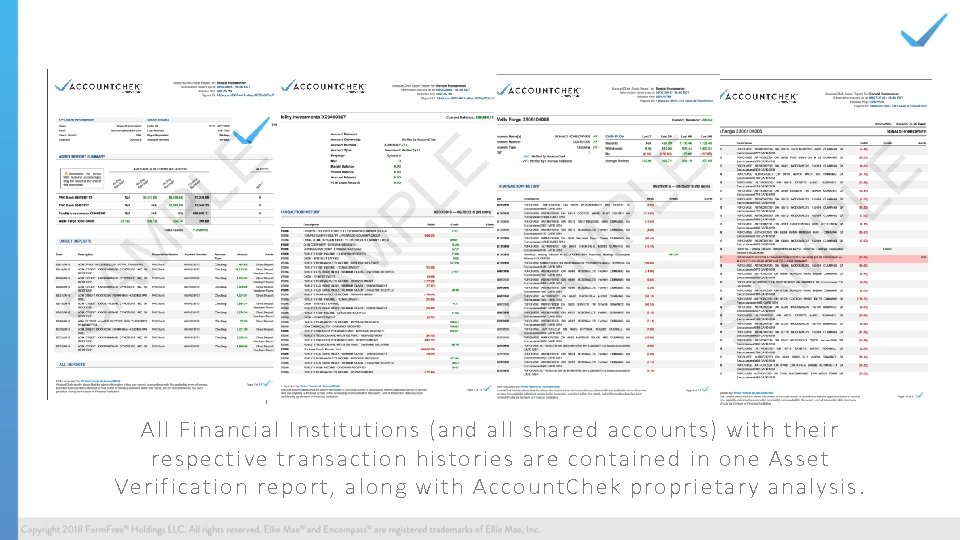 All Financial Institutions (and all shared accounts) with their respective transaction histories are contained