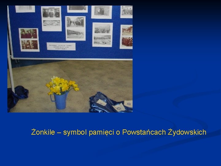 Żonkile – symbol pamięci o Powstańcach Żydowskich 