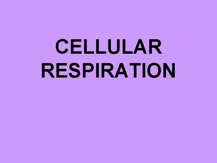 CELLULAR RESPIRATION 