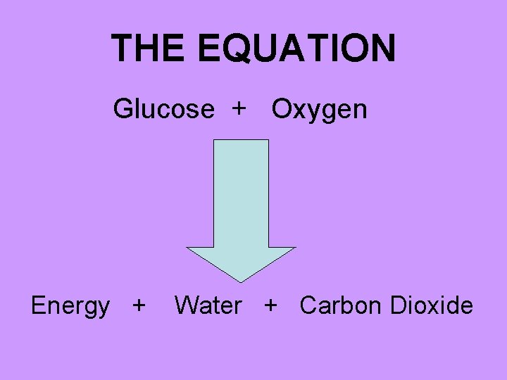 THE EQUATION Glucose + Oxygen Energy + Water + Carbon Dioxide 