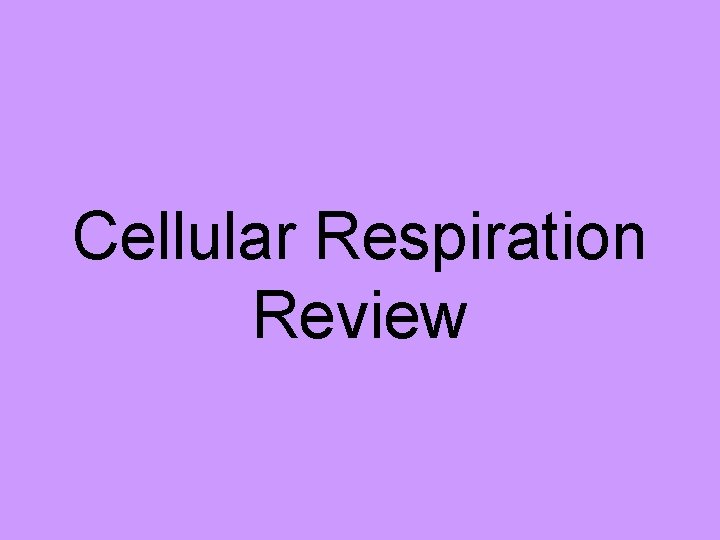Cellular Respiration Review 