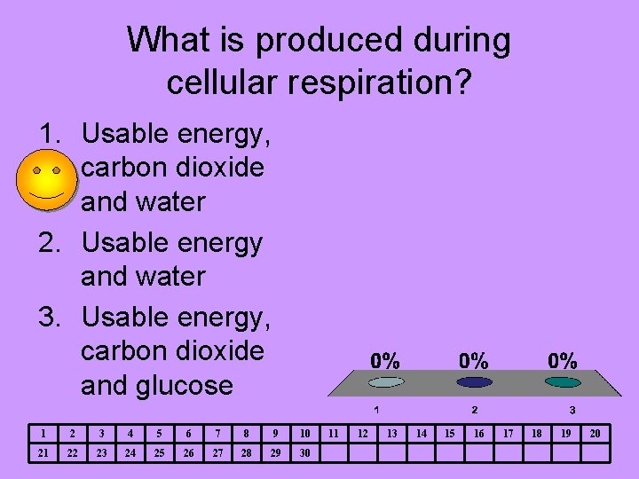 What is produced during cellular respiration? 1. Usable energy, carbon dioxide and water 2.