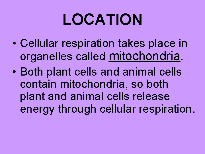 LOCATION • Cellular respiration takes place in organelles called mitochondria. • Both plant cells