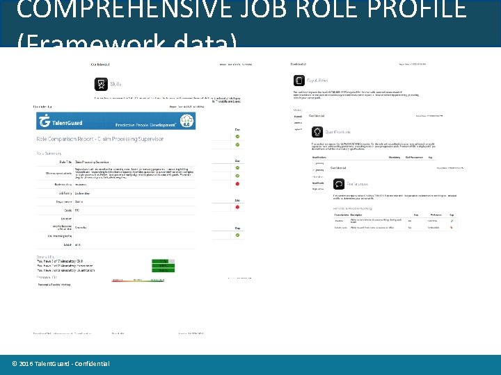 COMPREHENSIVE JOB ROLE PROFILE (Framework data) © 2014 Talent. Guard Confidential © 2016 Talent.