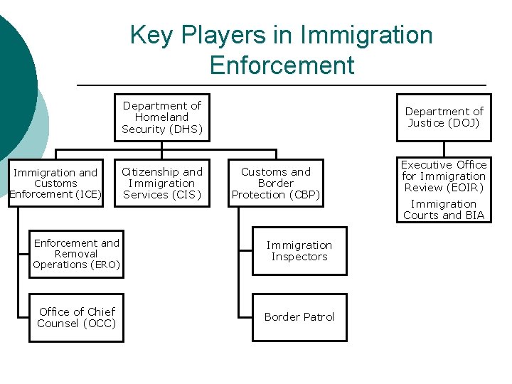 Key Players in Immigration Enforcement Department of Homeland Security (DHS) Immigration and Customs Enforcement
