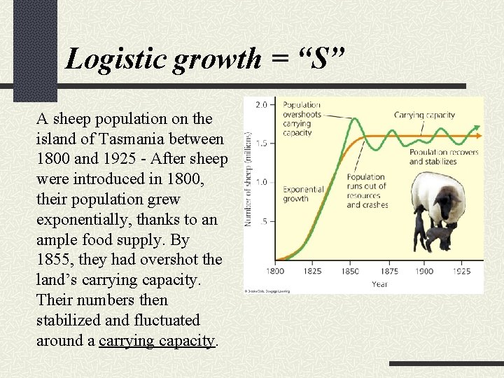 Logistic growth = “S” A sheep population on the island of Tasmania between 1800