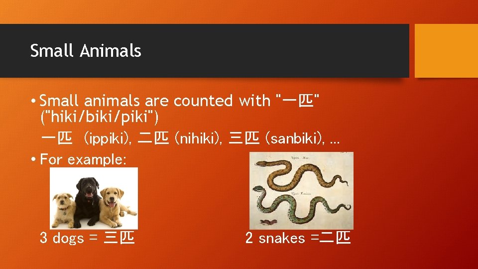 Small Animals • Small animals are counted with "一匹" ("hiki/biki/piki") 一匹　(ippiki), 二匹 (nihiki), 三匹