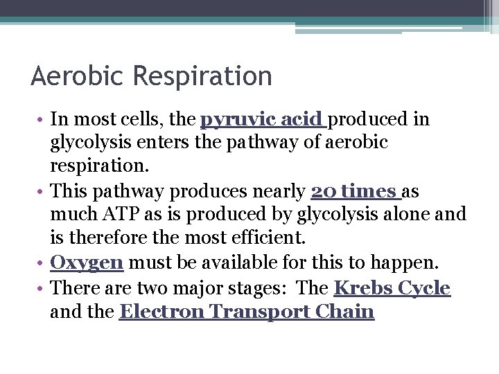 Aerobic Respiration • In most cells, the pyruvic acid produced in glycolysis enters the Aerobic Respiration • In most cells, the pyruvic acid produced in glycolysis enters the