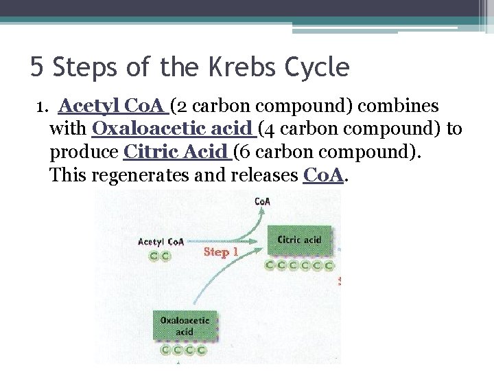 5 Steps of the Krebs Cycle 1. Acetyl Co. A (2 carbon compound) combines 5 Steps of the Krebs Cycle 1. Acetyl Co. A (2 carbon compound) combines