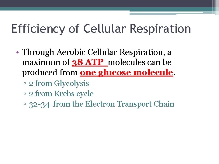 Efficiency of Cellular Respiration • Through Aerobic Cellular Respiration, a maximum of 38 ATP Efficiency of Cellular Respiration • Through Aerobic Cellular Respiration, a maximum of 38 ATP