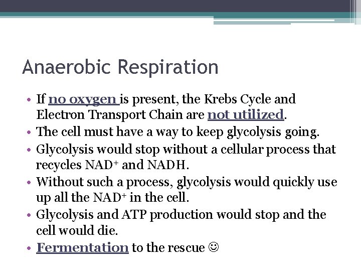Anaerobic Respiration • If no oxygen is present, the Krebs Cycle and Electron Transport Anaerobic Respiration • If no oxygen is present, the Krebs Cycle and Electron Transport