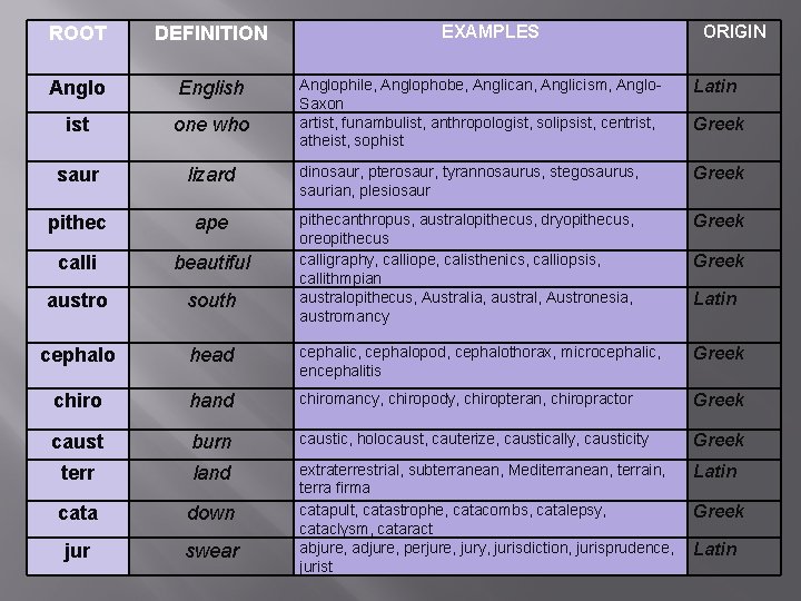 Vocab Lesson 16 Root Definition Anglo English Ist
