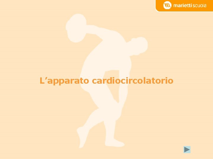 L’apparato cardiocircolatorio 