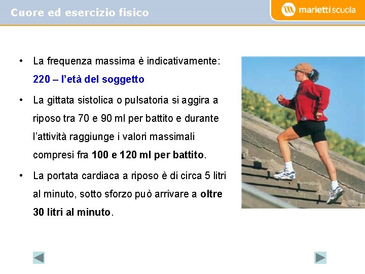 Cuore ed esercizio fisico • La frequenza massima è indicativamente: 220 – l’età del