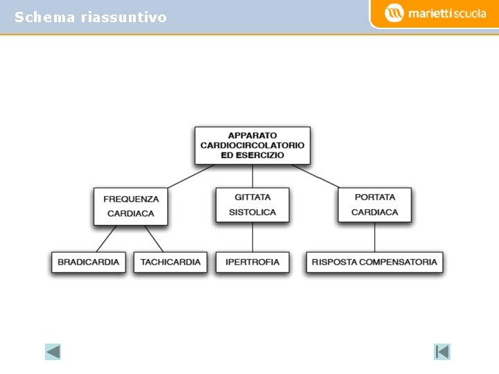 Schema riassuntivo 