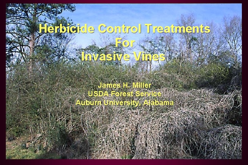 Herbicide Control Treatments For Invasive Vines James H. Miller USDA Forest Service Auburn University,