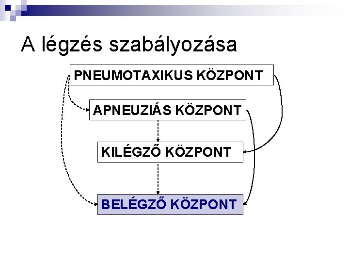 A légzés szabályozása PNEUMOTAXIKUS KÖZPONT APNEUZIÁS KÖZPONT KILÉGZŐ KÖZPONT BELÉGZŐ KÖZPONT 