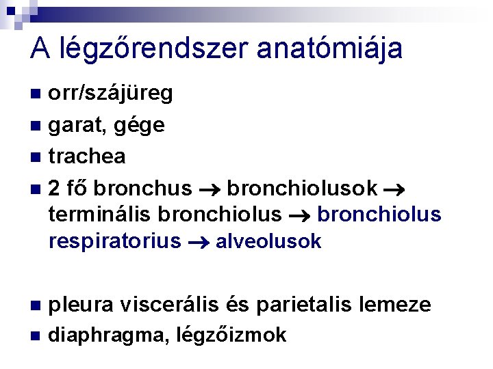 A légzőrendszer anatómiája orr/szájüreg n garat, gége n trachea n 2 fő bronchus bronchiolusok