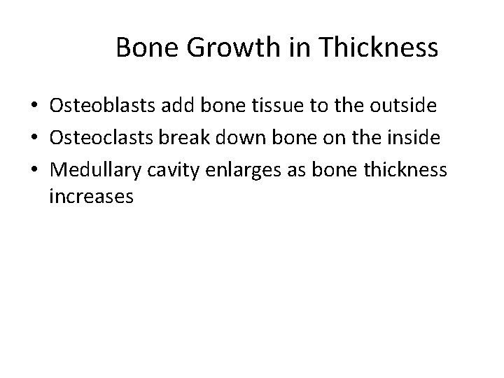 Bone Growth in Thickness • Osteoblasts add bone tissue to the outside • Osteoclasts