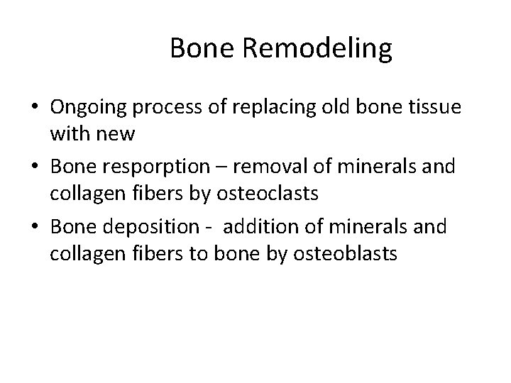 Bone Remodeling • Ongoing process of replacing old bone tissue with new • Bone