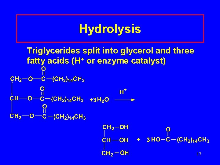 Hydrolysis Triglycerides split into glycerol and three fatty acids (H+ or enzyme catalyst) 17