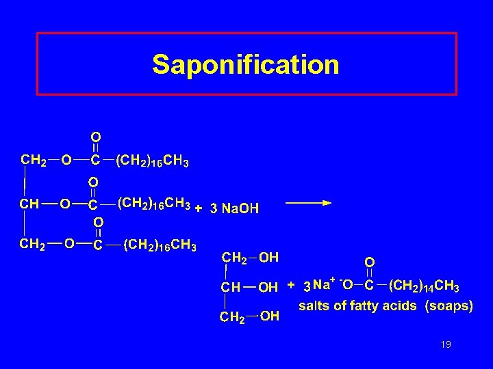 Saponification 19 