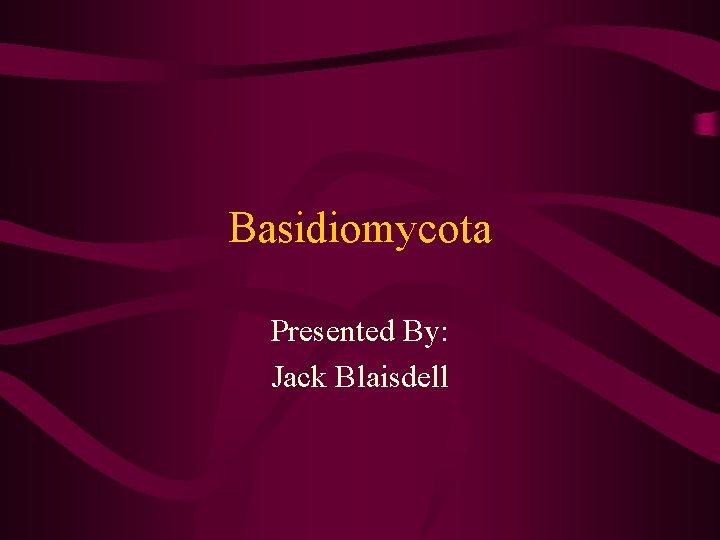 Basidiomycota Presented By: Jack Blaisdell 