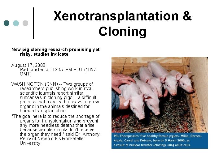 Xenotransplantation & Cloning New pig cloning research promising yet risky, studies indicate August 17,