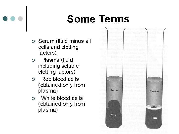 Some Terms ¢ ¢ Serum (fluid minus all cells and clotting factors) Plasma (fluid