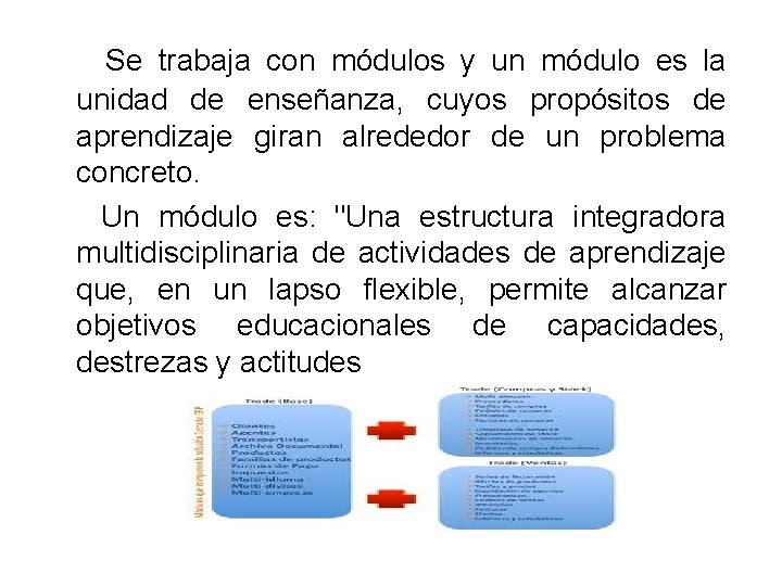 Se trabaja con módulos y un módulo es la unidad de enseñanza, cuyos Se trabaja con módulos y un módulo es la unidad de enseñanza, cuyos